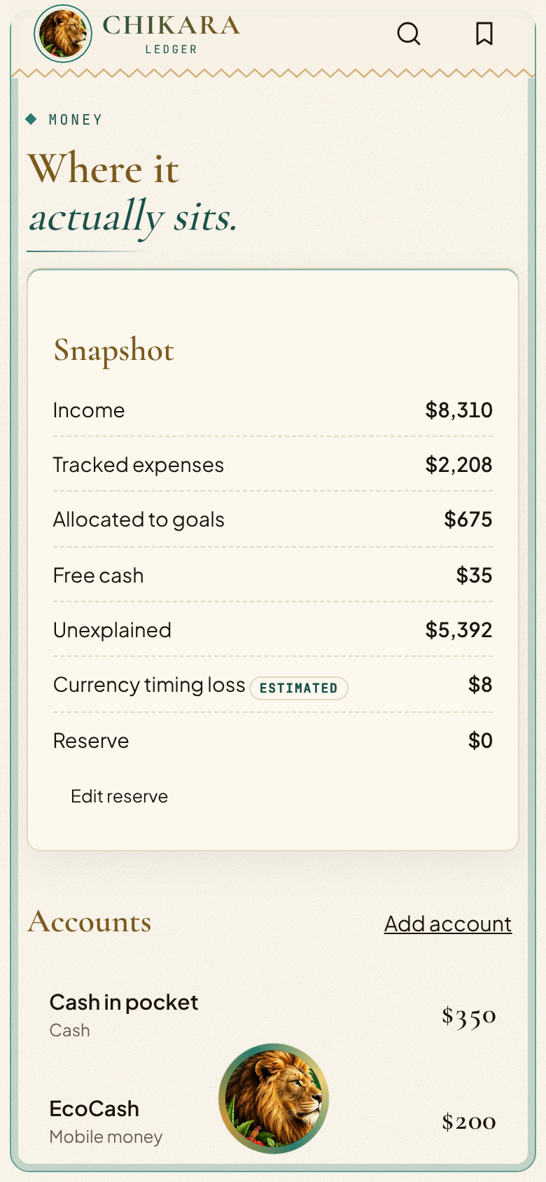 CHIKARA Ledger — accounts and positions across cash, banks and mobile money